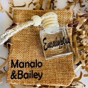 Scented oil diffuser, Eucalyptus