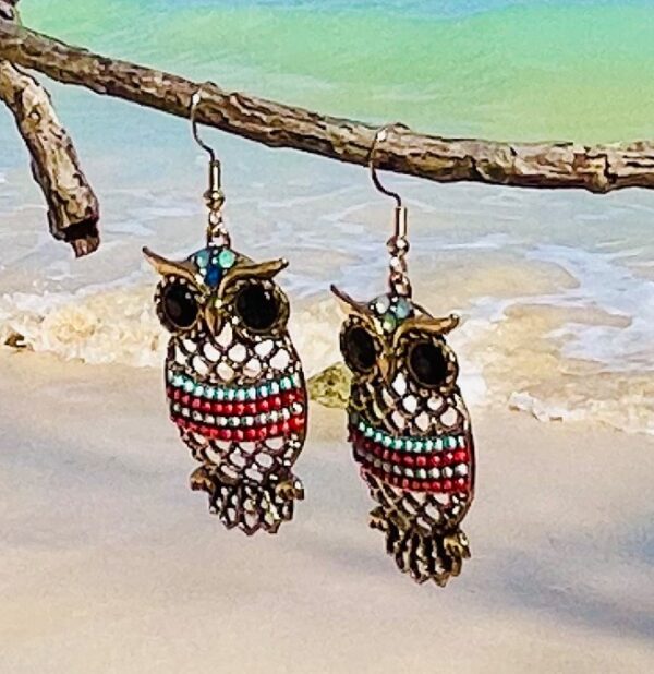 Vintage Bohemian Style Owl Earrings - Image 5